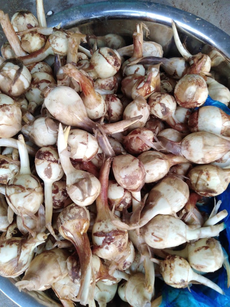 茨菇，50克至150克