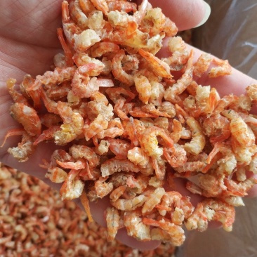 虾米开洋虾仁北海虾米足干淡晒酒店炖汤煲粥