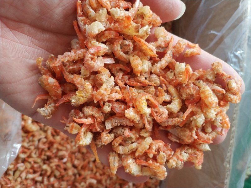 虾米开洋虾仁北海虾米足干淡晒酒店炖汤煲粥
