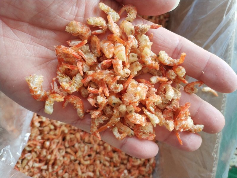 虾米开洋虾仁北海虾米足干淡晒酒店炖汤煲粥
