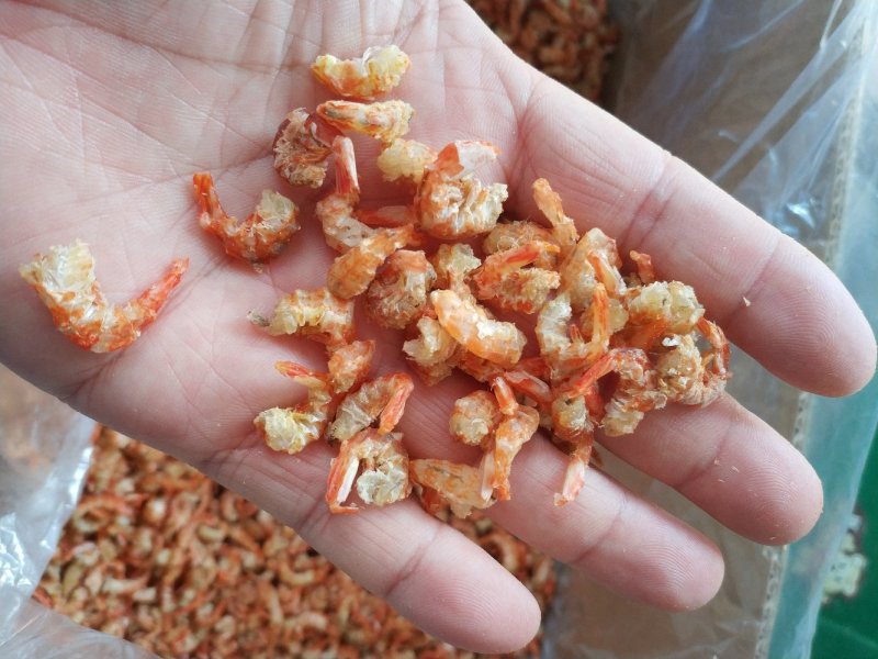 虾米开洋虾仁北海虾米足干淡晒酒店炖汤煲粥