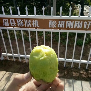 眉县徐香猕猴桃支持微商一件代发