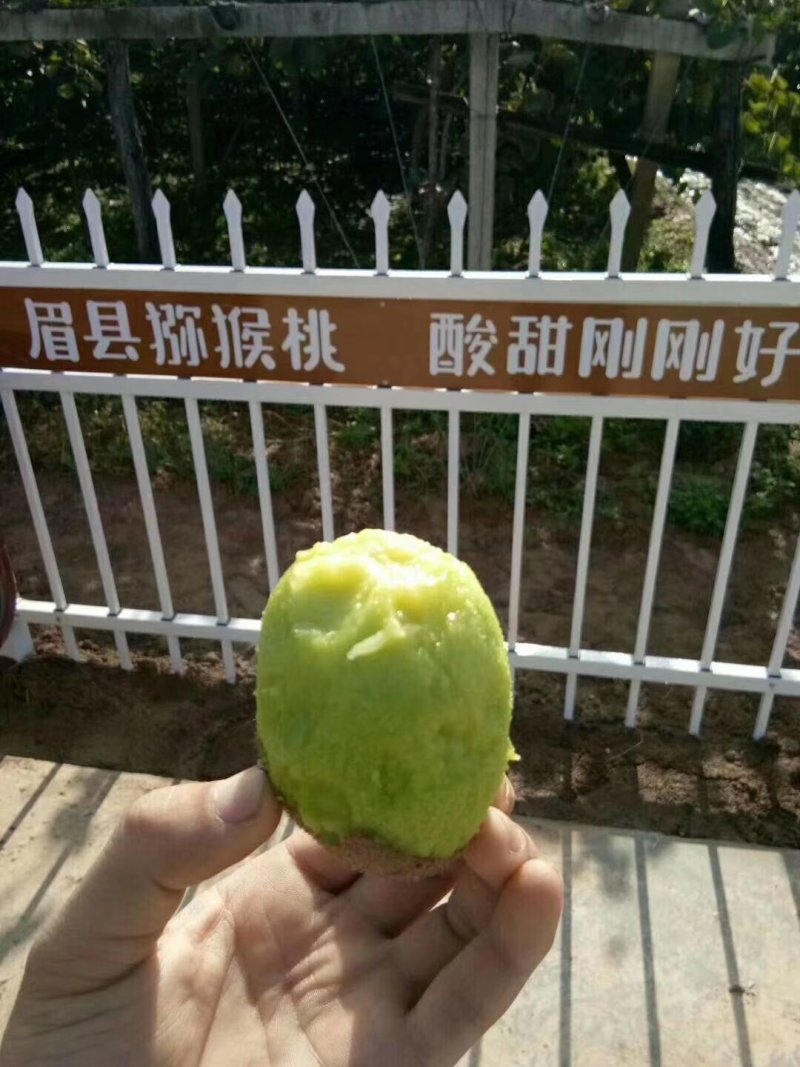 眉县徐香猕猴桃支持微商一件代发