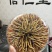【六百万销量】西藏那曲纯野生冬虫夏草包邮