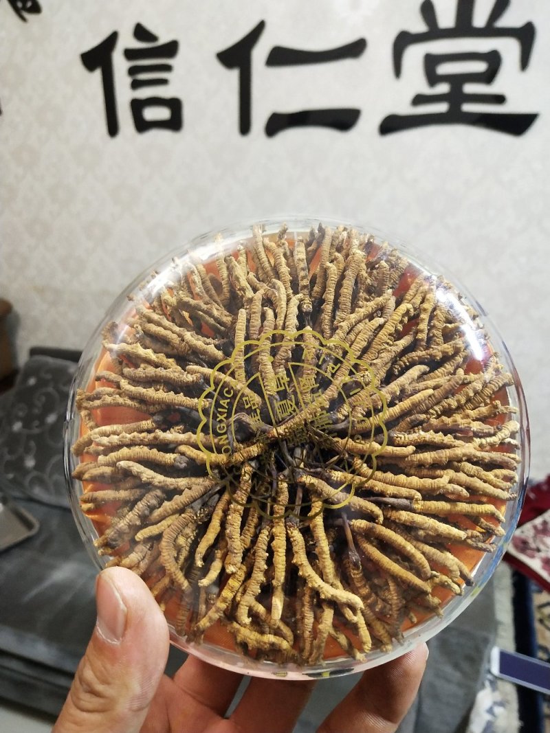 【六百万销量】西藏那曲纯野生冬虫夏草包邮