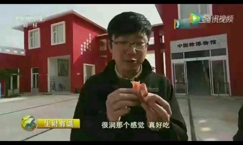 柿饼，富平柿饼品质保证，可看实物视频