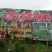 红心火龙果苗