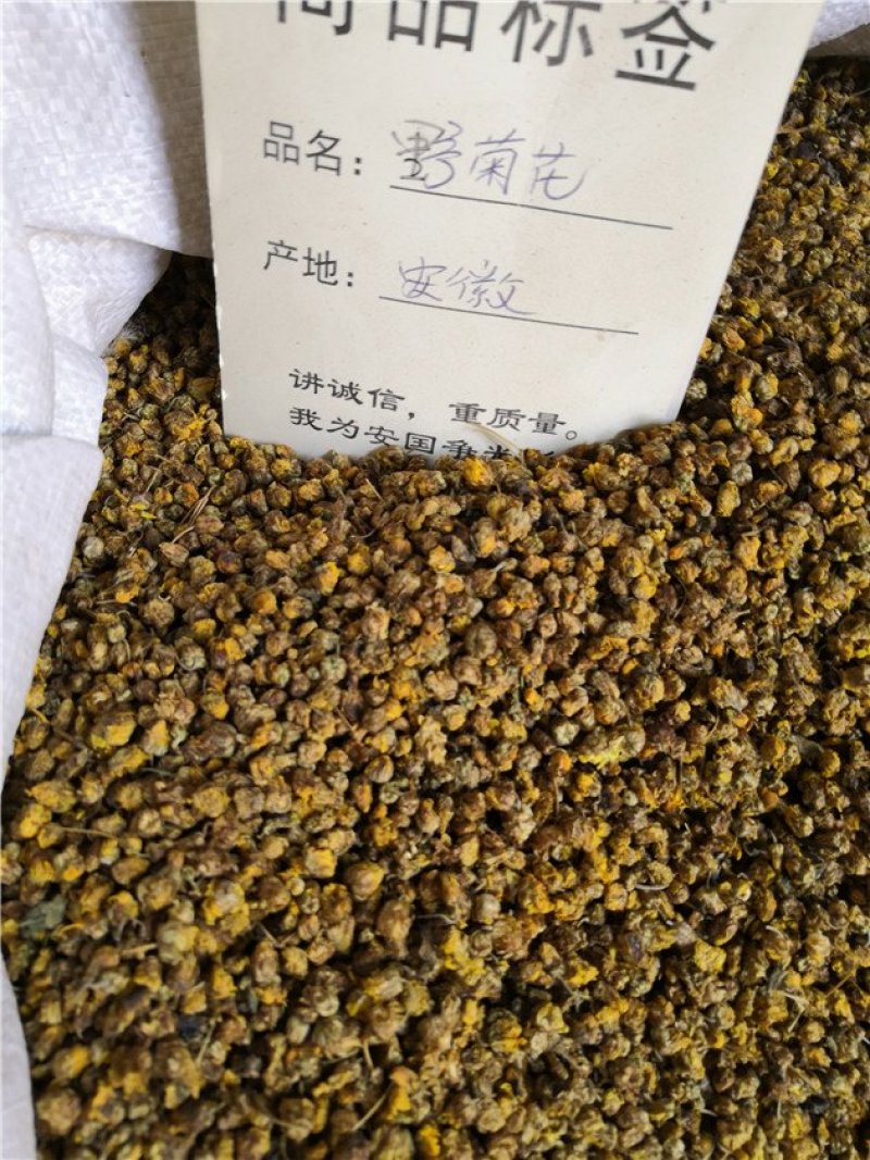 野菊花