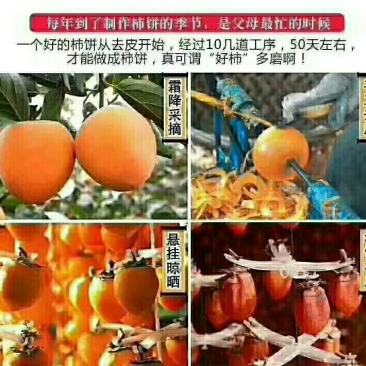 正宗富平柿饼热销中，需要的朋友联系