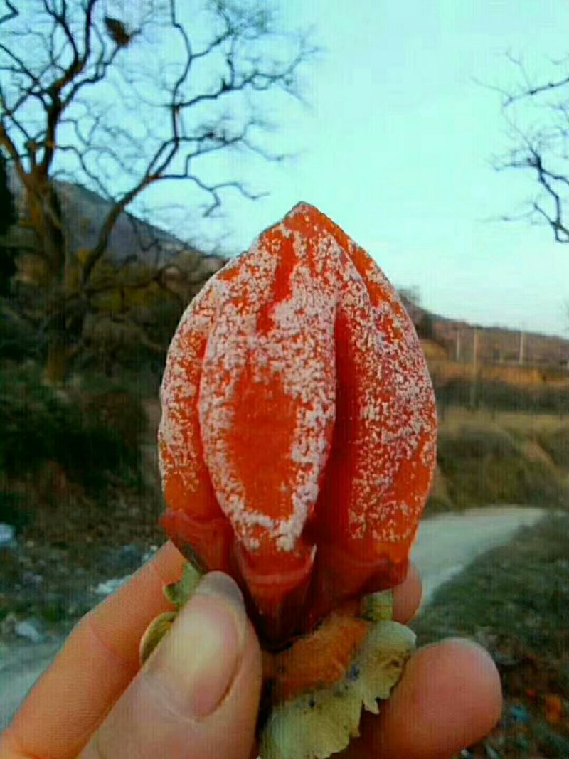 正宗富平柿饼热销中，需要的朋友联系