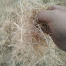出售各种规格稻草秸秆欢迎实地考察合作共赢