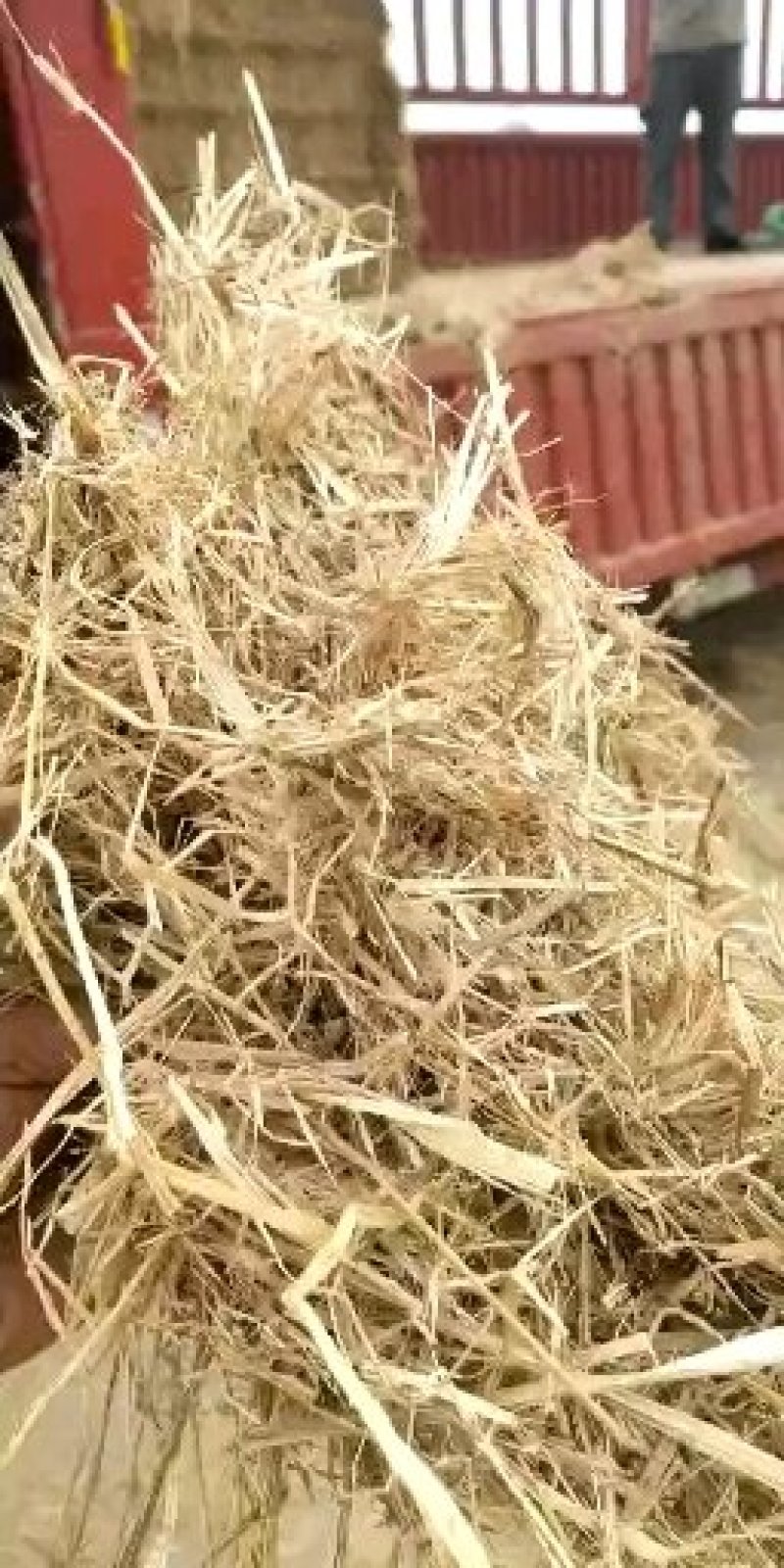 各种规格草料齐全欢迎各地老板合作共赢发货全国