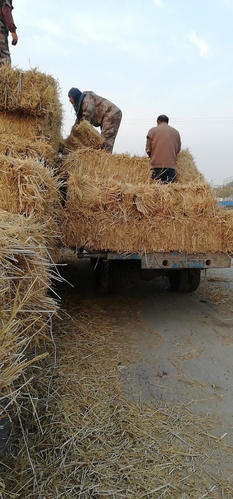 各种规格草料齐全欢迎各地老板合作共赢发货全国