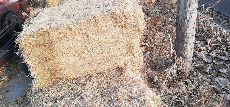 各种规格草料齐全欢迎各地老板合作共赢发货全国