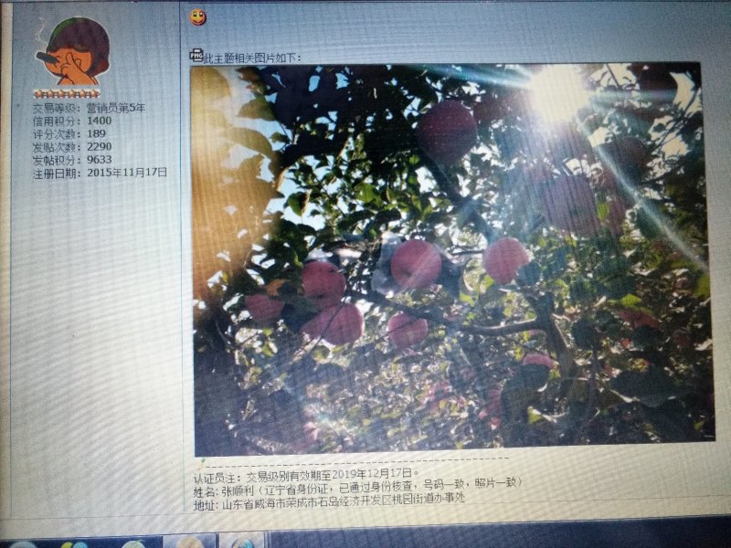 富士苹果