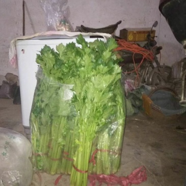 芹菜