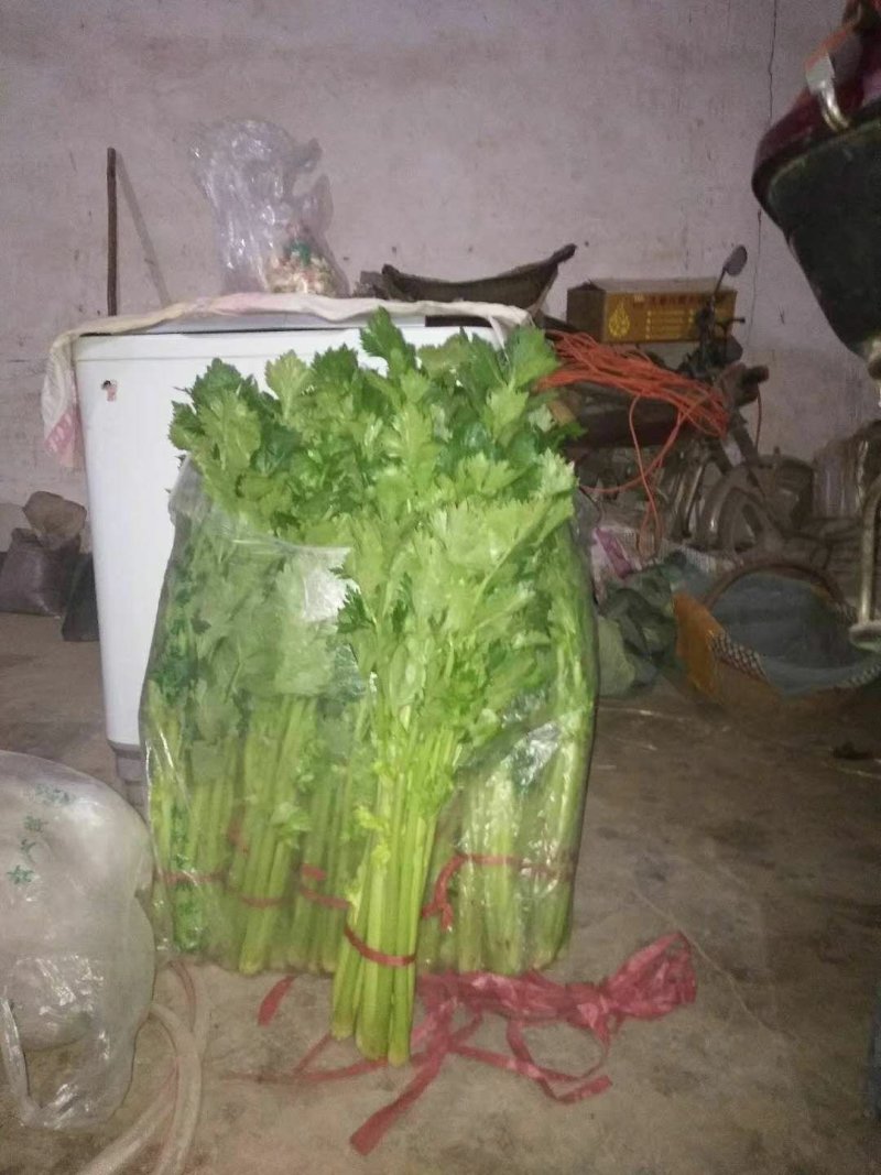 芹菜
