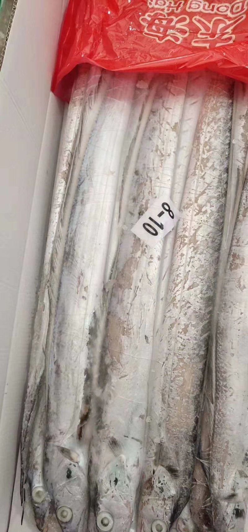 刀鱼3种规格