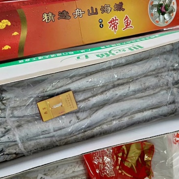 刀鱼3种规格