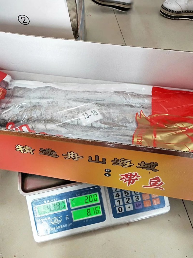 刀鱼3种规格