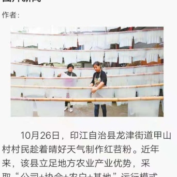 红薯粉条