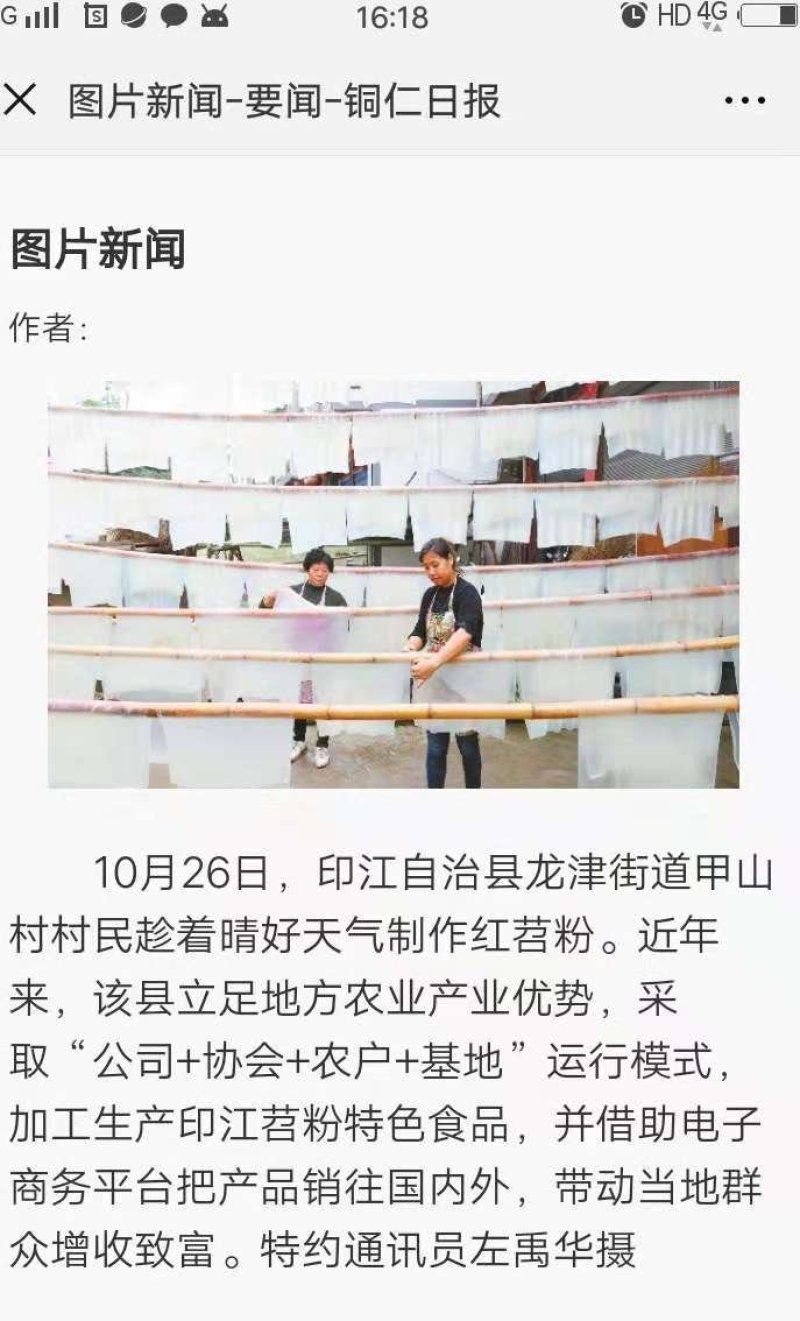 红薯粉条