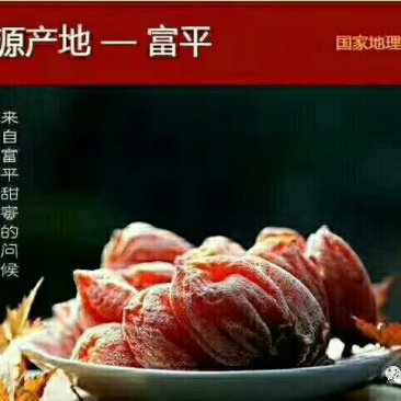 柿饼