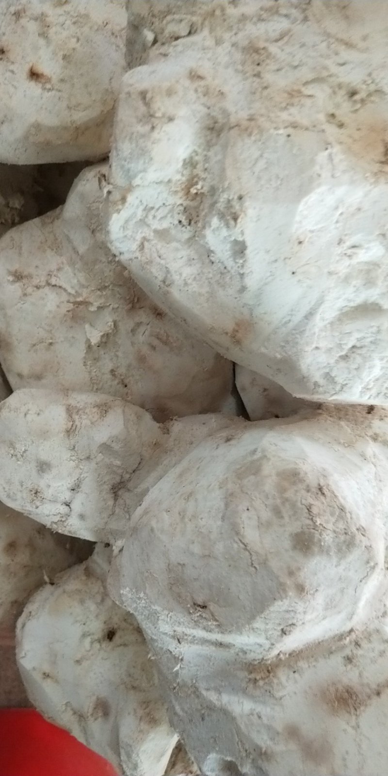 【茯苓】安徽优质茯苓茯苓片茯苓丁货源充足规格齐全
