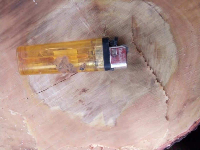 檀香印度檀香一手货源