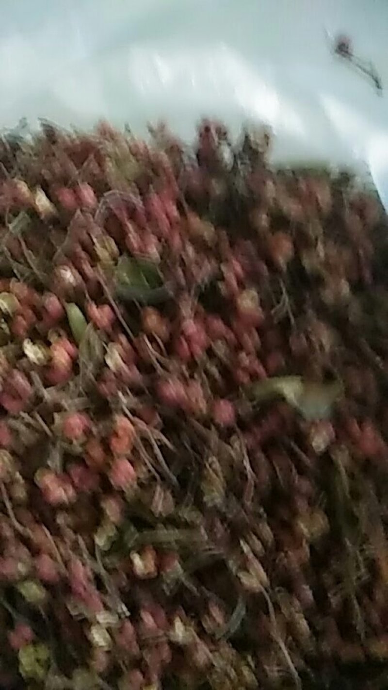 优质大红袍花椒。每斤50元。