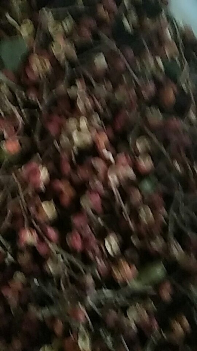 优质大红袍花椒。每斤50元。