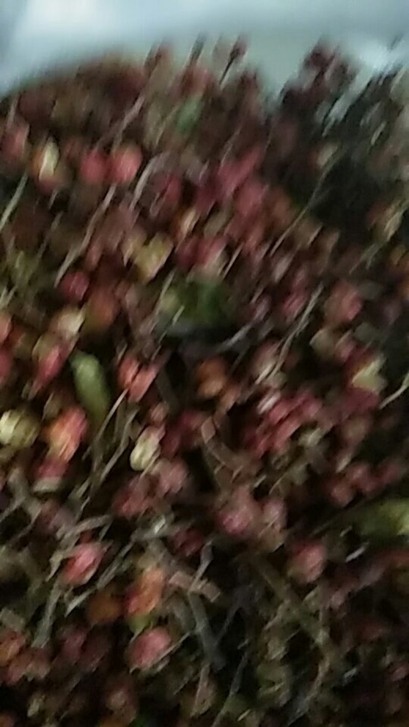 优质大红袍花椒。每斤50元。