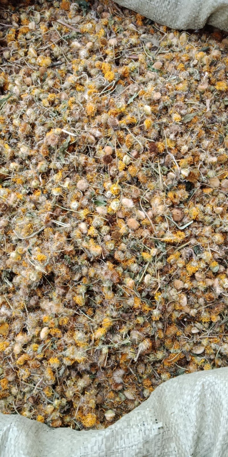 旋复花旋覆花金钱菊花伏花中药材批发零售各种规格中药材