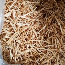 沙参段北沙参无硫沙参