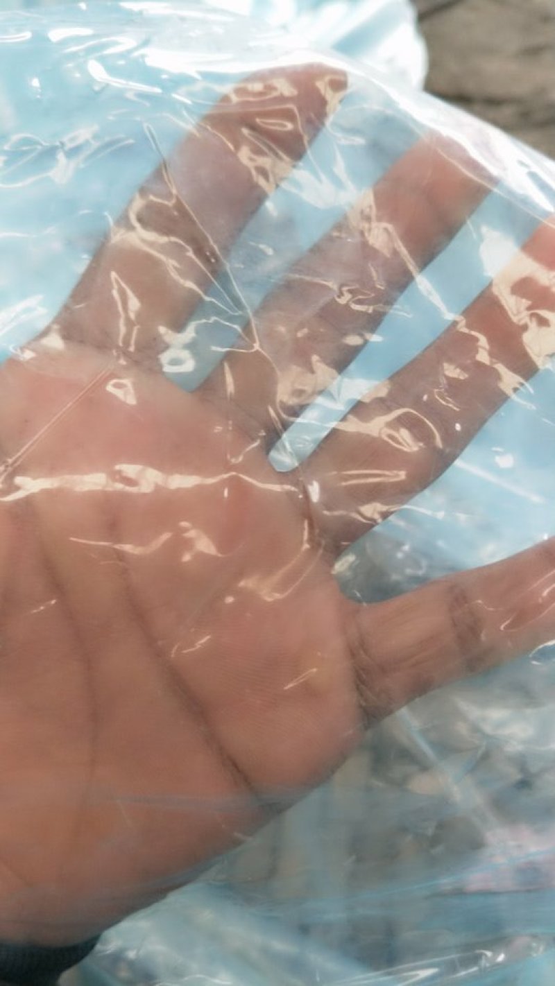 山东胜和高端大棚膜耐老化厂家直发各种规格尺寸齐全
