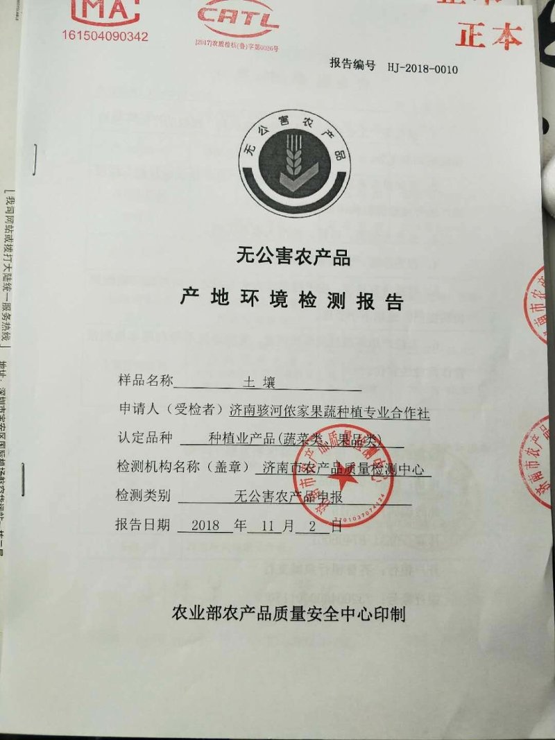 合作社供应无公害西红柿！千禧，粉贝贝，彩色西红柿…