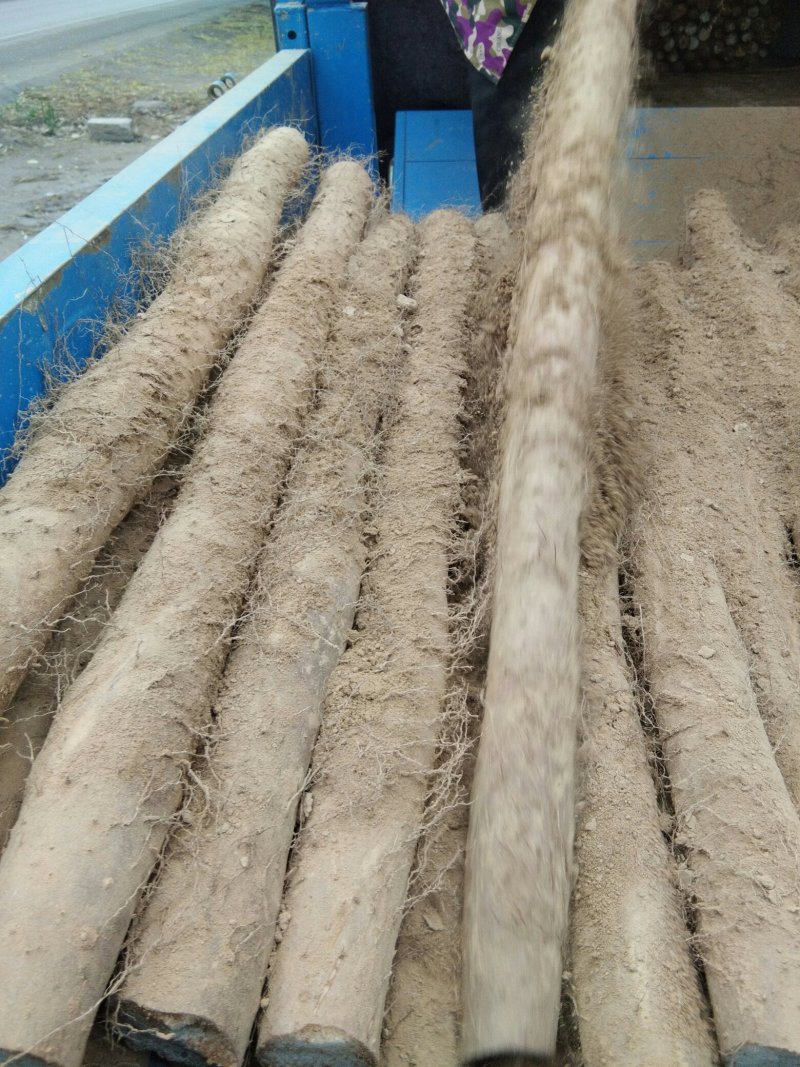 精品白玉手检走货中