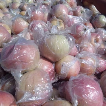 富士苹果颜色好果型饱满口感脆甜货量充足