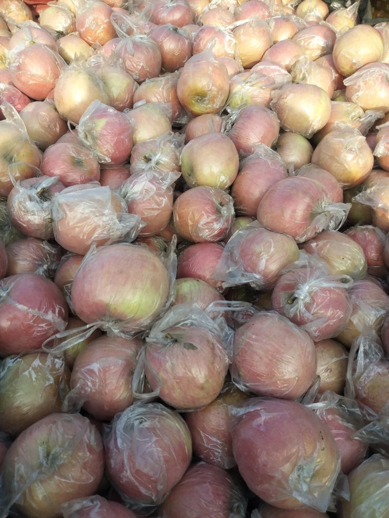 富士苹果颜色好果型饱满口感脆甜货量充足