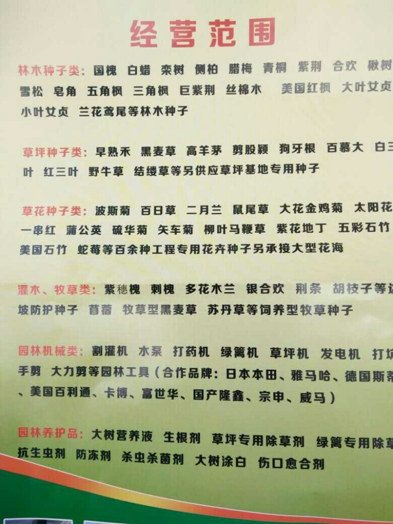 青桐国槐白蜡丝棉木种子，鸢尾种子草花种子