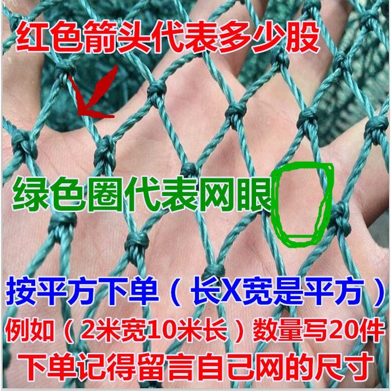 爬藤网单面双面网植物爬藤网山药网豆角网黄瓜网丝瓜