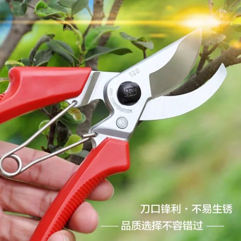 日本进口爱丽丝120Dx.