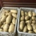 【精品】荷兰十五土豆黄皮黄心无青头无发芽产地直供量大从