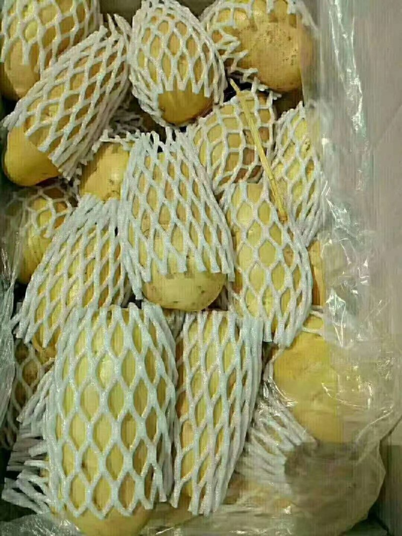 【精品】荷兰十五土豆黄皮黄心无青头无发芽产地直供量大从