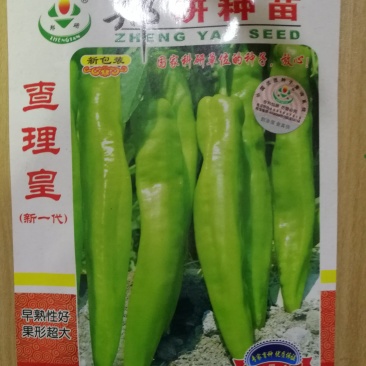 【精】郑研查理黄皮辣椒种子，皇鼎六号，苏润大椒