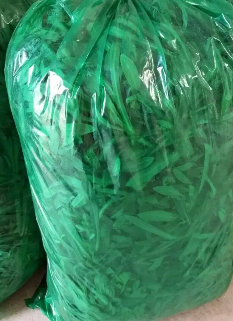 山东聊城大量供应面条菜需要的联系我长期有货