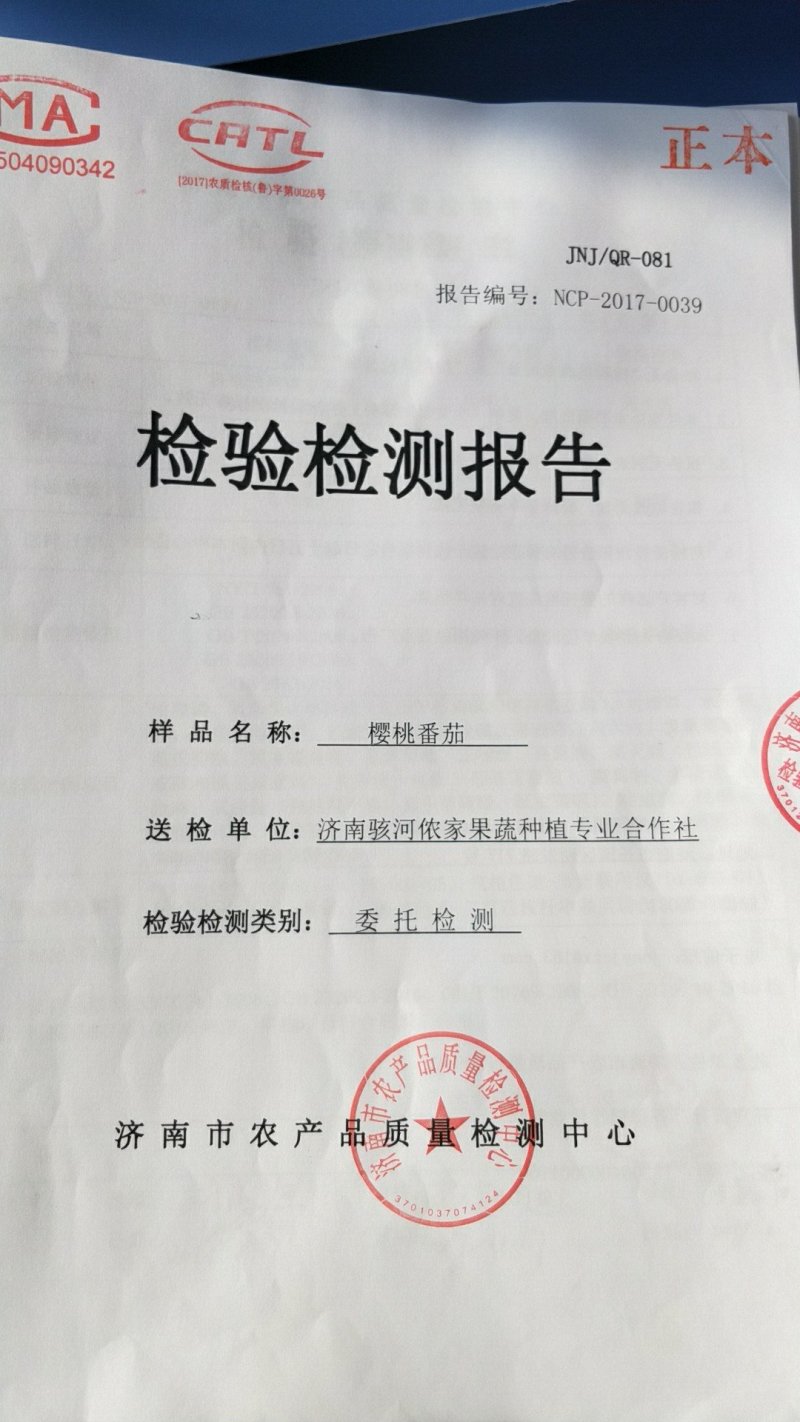 本合作社常年供应无残留自然成熟优质小番茄！一件代发