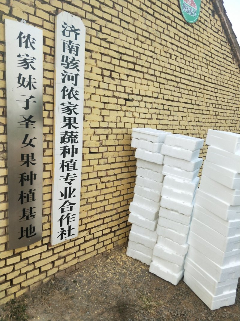 本合作社常年供应无残留自然成熟优质小番茄！一件代发