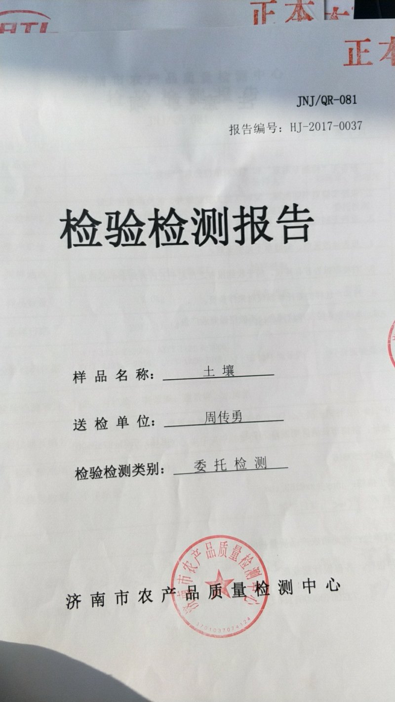 本合作社常年供应无残留自然成熟优质小番茄！一件代发