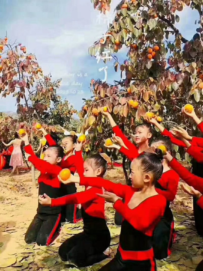 柿饼